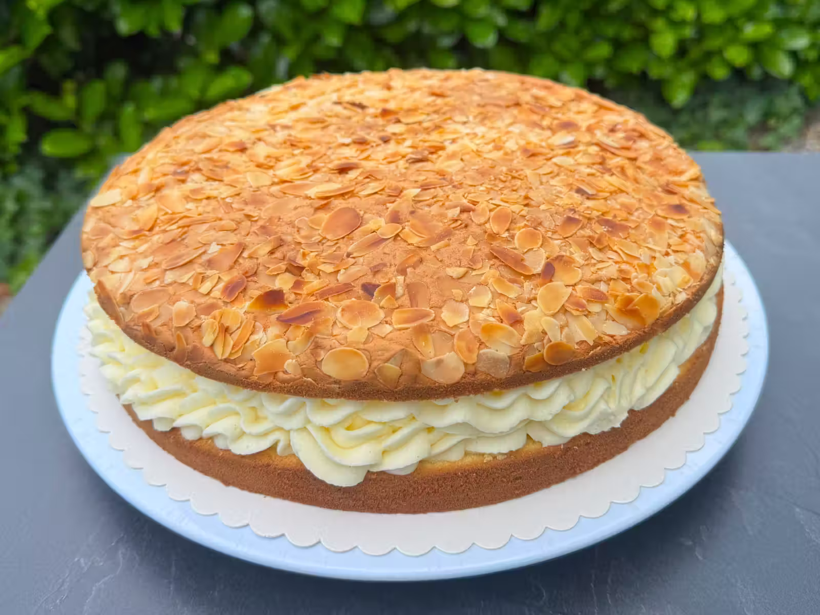 Torte Dicke Erika